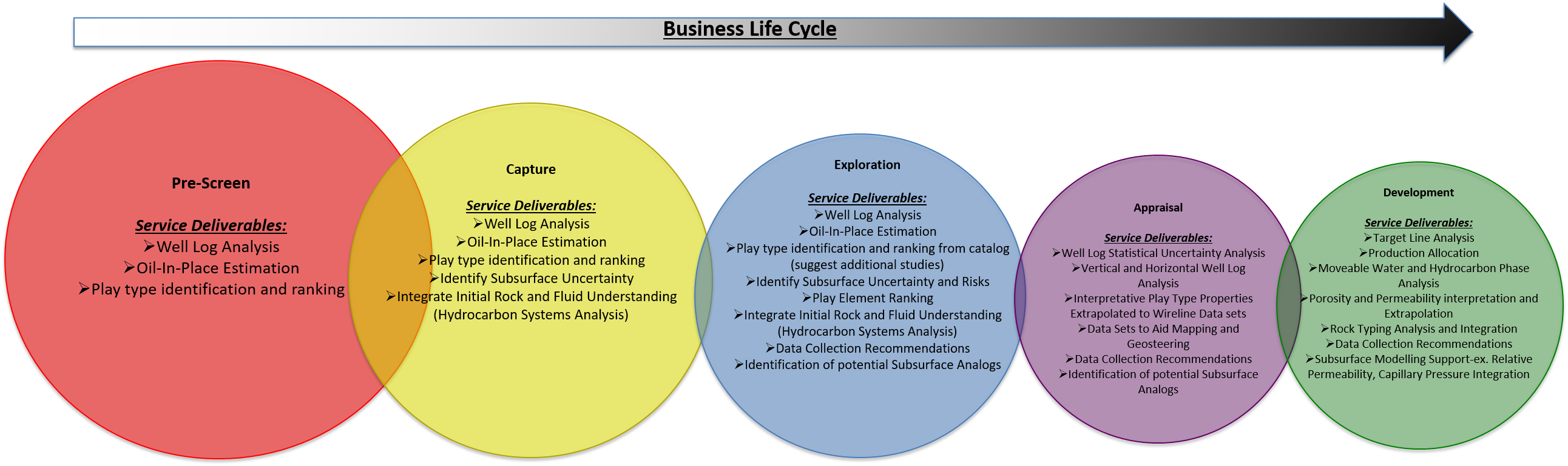 business life cycle